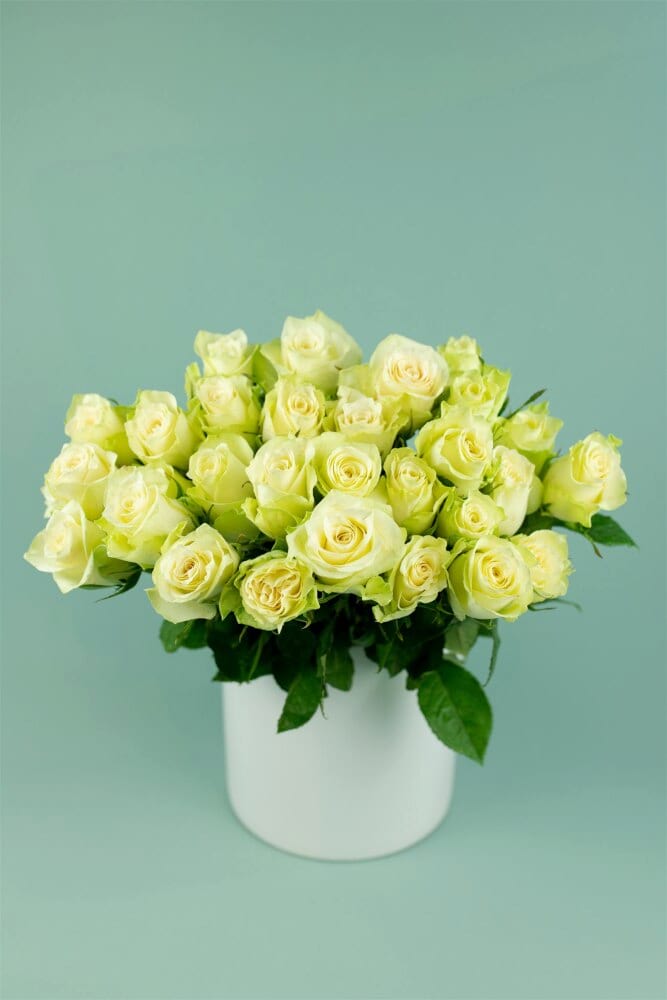 Rose 60cm