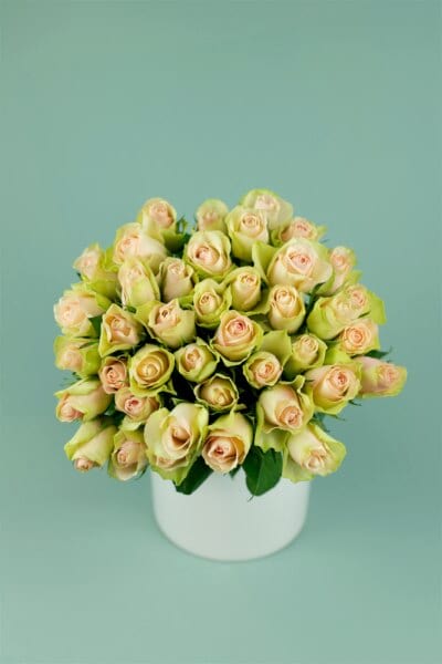 Rose 50cm