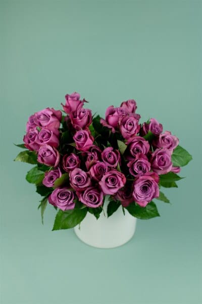Rose 40cm